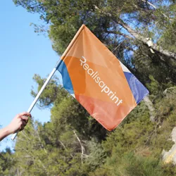 Bandera de mano