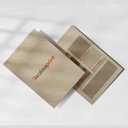 Flyer fibra de caña de azúcar